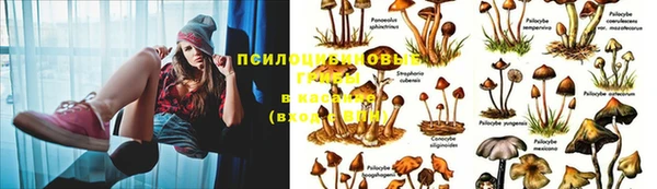 амфетамин Сафоново