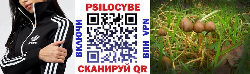 Псилоцибиновые грибы Cubensis  hydra ССЫЛКА  Томмот  магазин продажи наркотиков 
