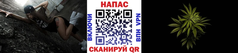 Бошки марихуана AK-47  дарнет шоп  Томмот 
